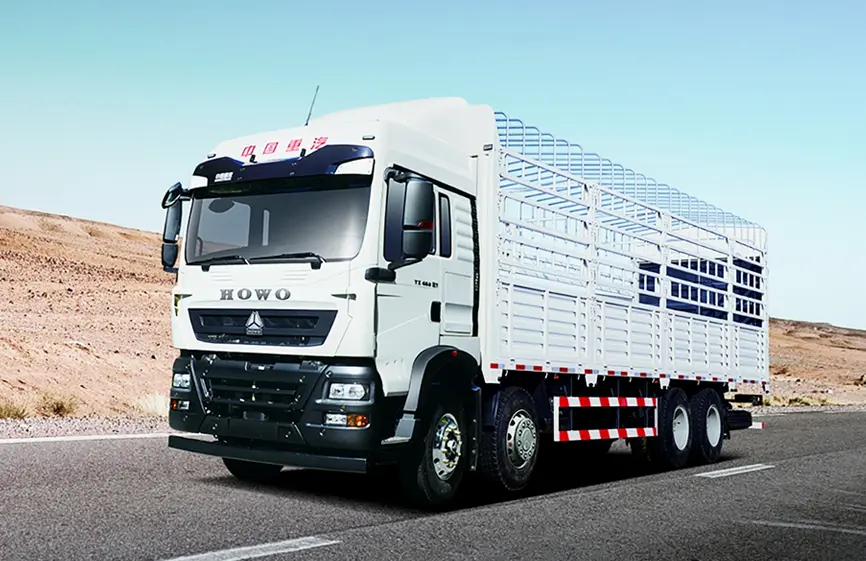 Sinotruck How TX 8×4 Cargo Truck-3