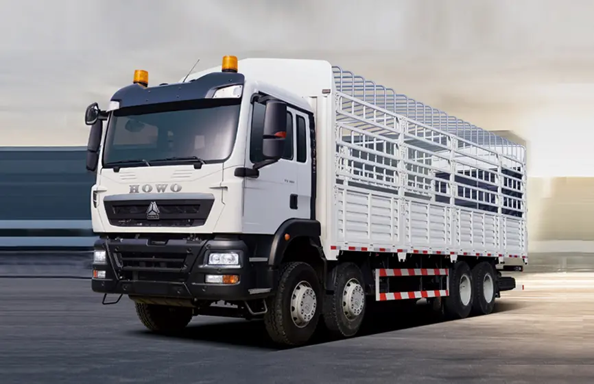 Sinotruck How TX 8×4 Cargo Truck