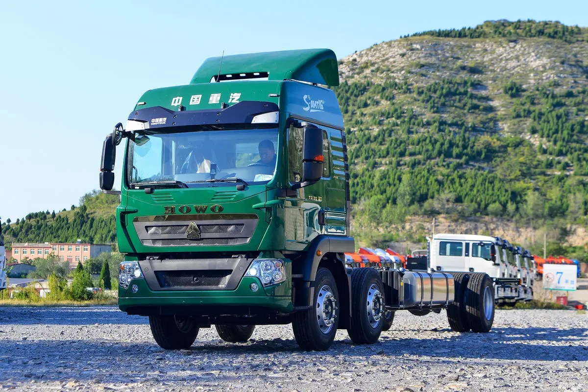 Sinotruck How TX Flatbed Cargo Truck-6