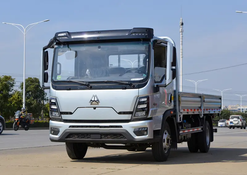 Sinotruk Howo 4×2 Light Cargo Truck-1
