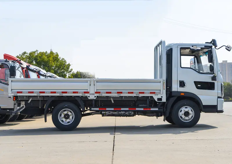 Sinotruk Howo 4×2 Light Cargo Truck-3