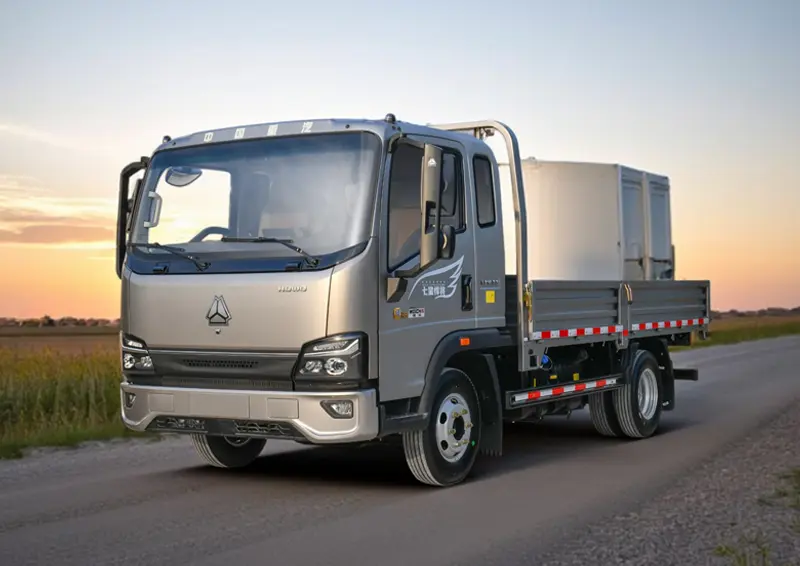 Sinotruk Howo 4×2 Light Cargo Truck